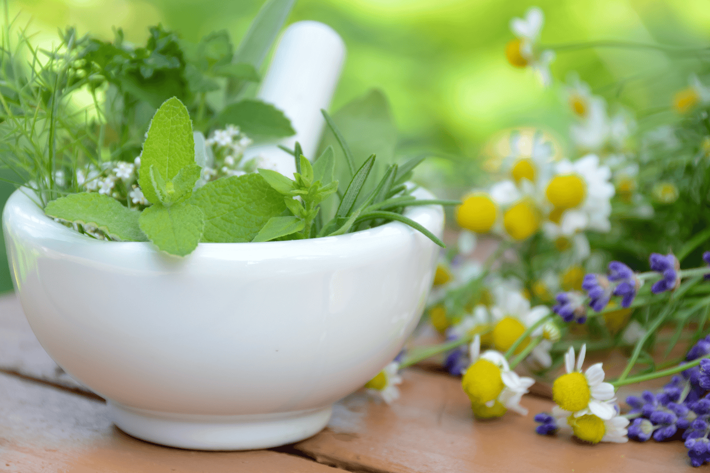 Beginner’s Guide to Growing Medicinal Herbs in Containers