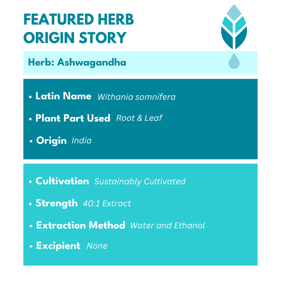 List of facts about Bold Ashwagandha Plus supplement, featuring its Latin name Withania somnifera, sustainably cultivated roots and leaves, 40:1 strength, and water-ethanol extraction method, highlighting its organic ashwagandha benefits for stress relief and anxiety support.