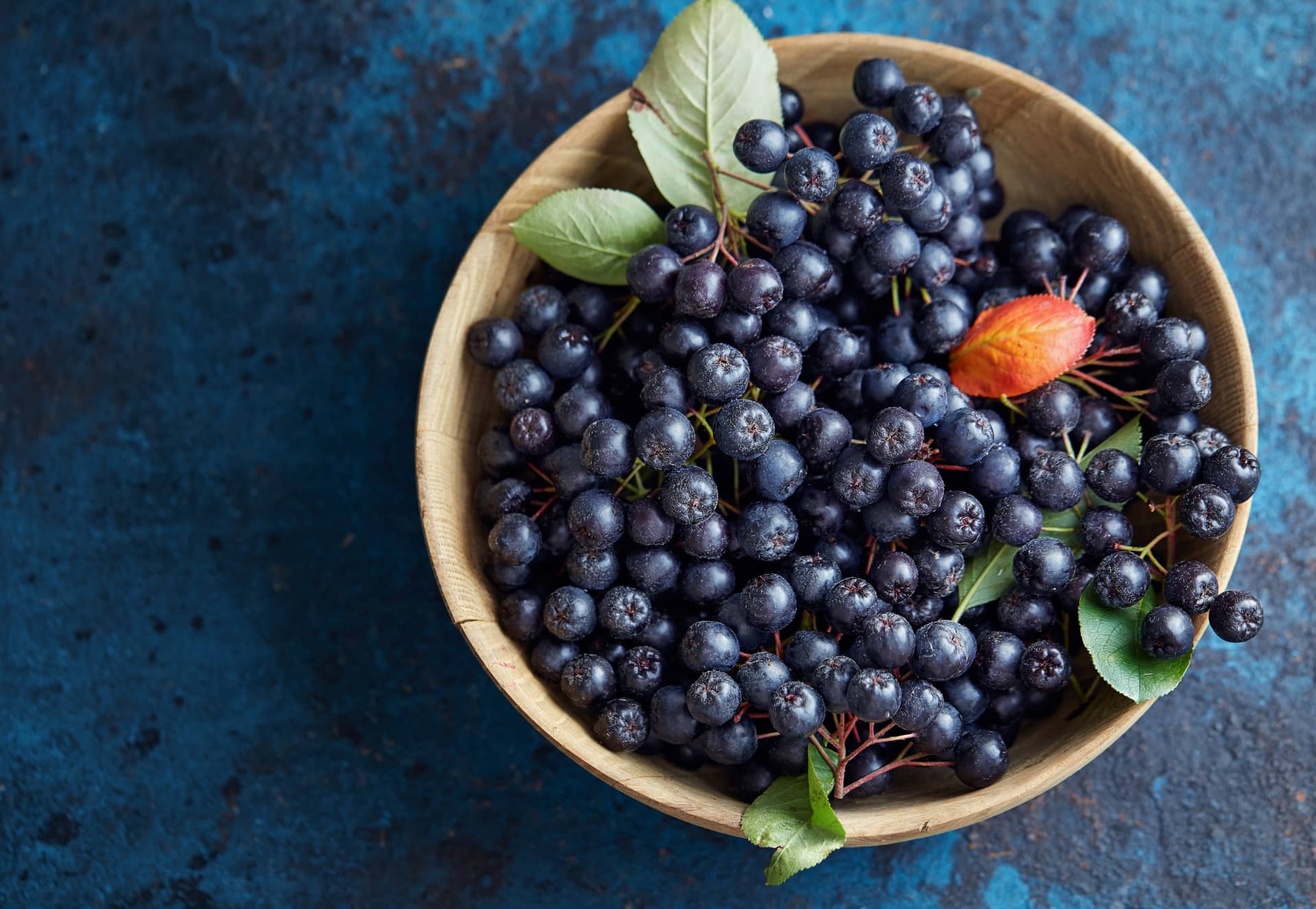 bowl of aronia berries and leaves