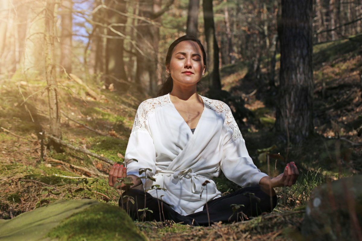 Forest Bathing: Unlocking Nature’s Power to Reduce Stress and Enhance Wellness
