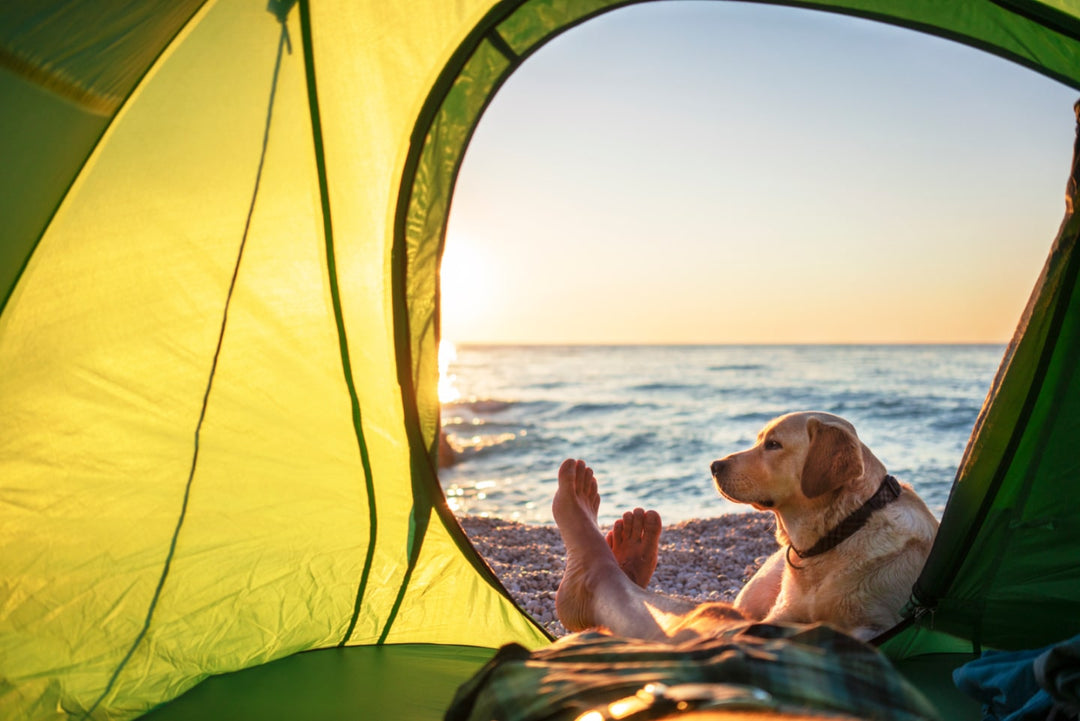 Eco-Friendly Adventures: Exploring the Outdoors Sustainably