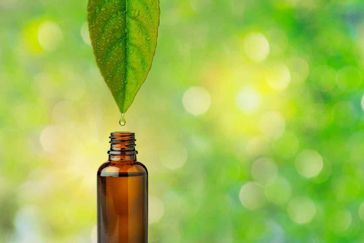 leaf with a droplet dripping into a bottle