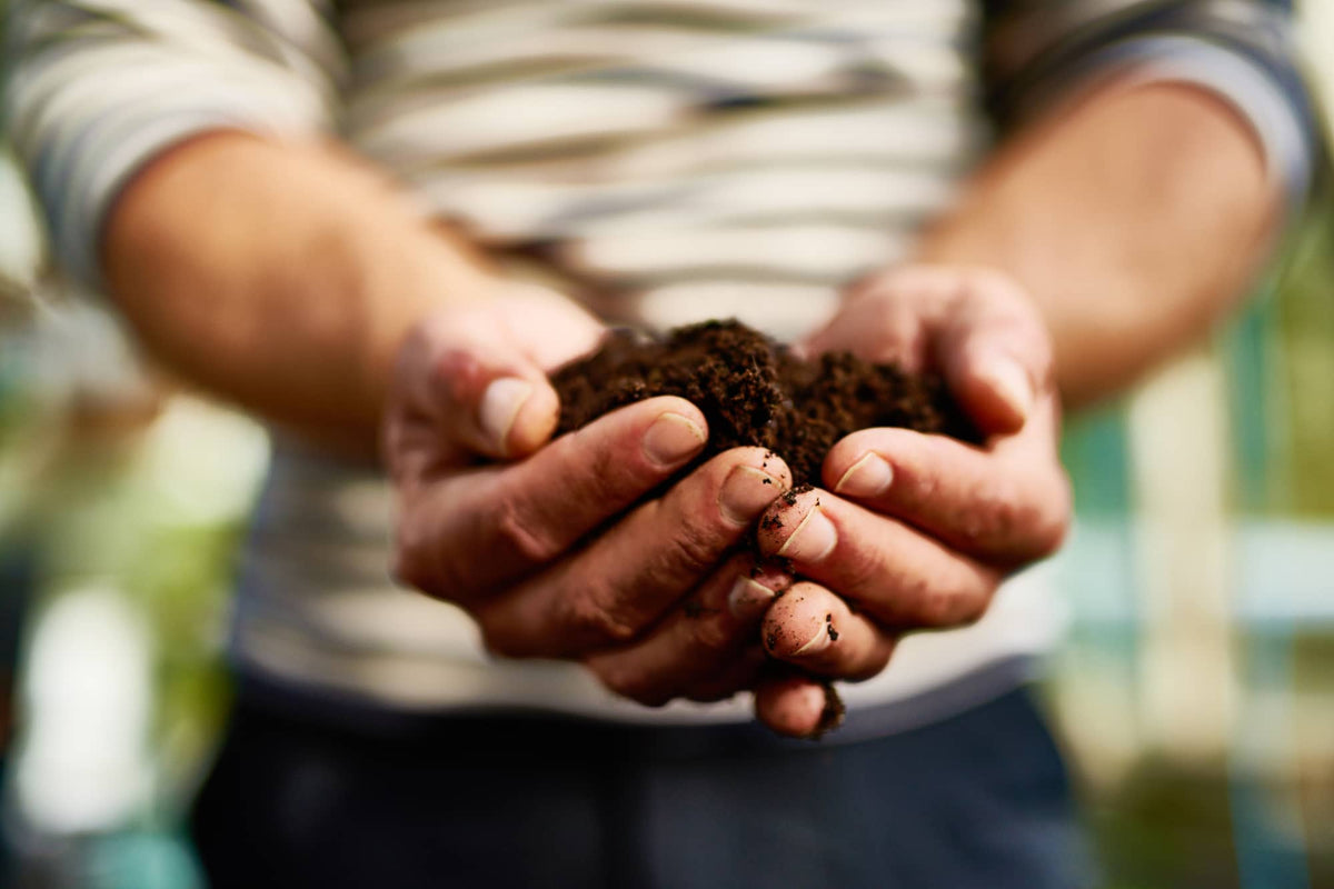 man holding garden compost