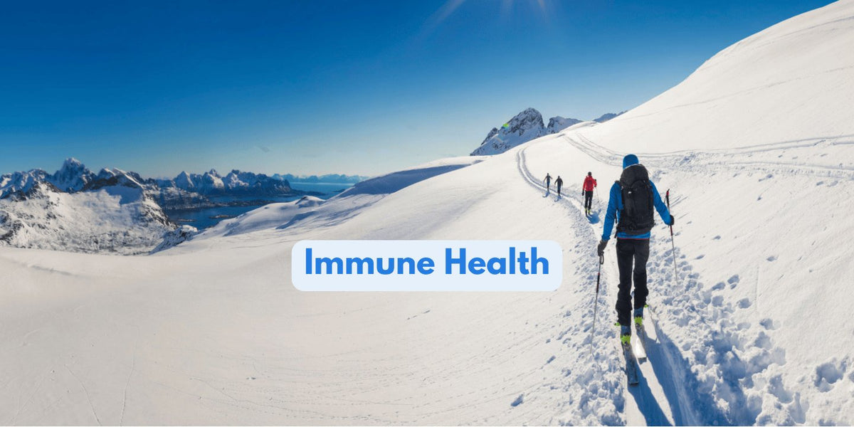 snowy mountain with skiers