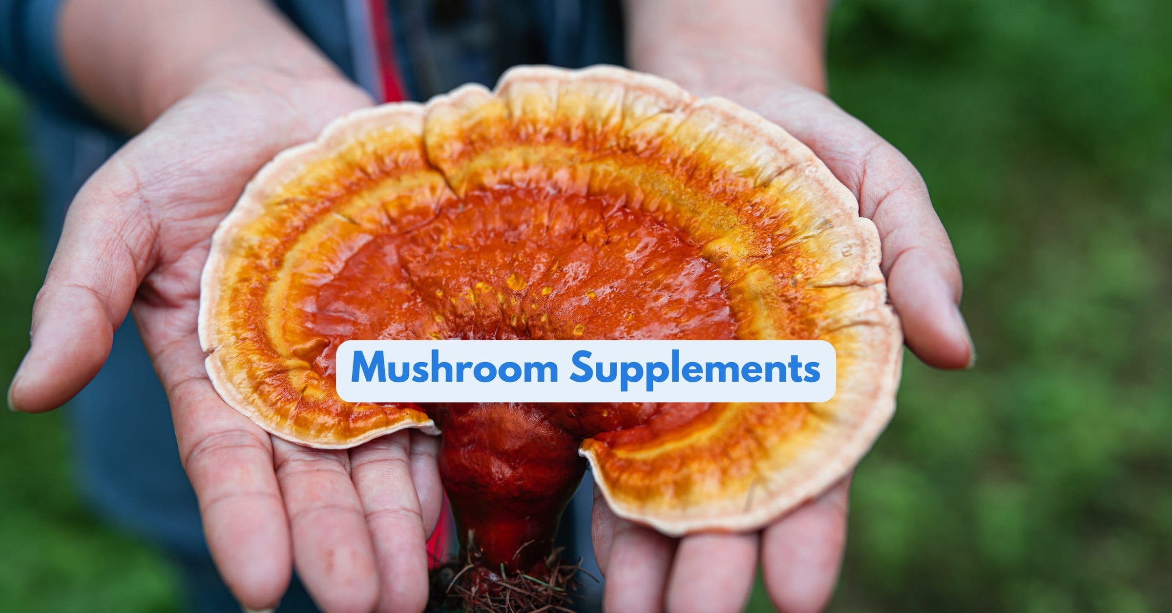 Mushrooms