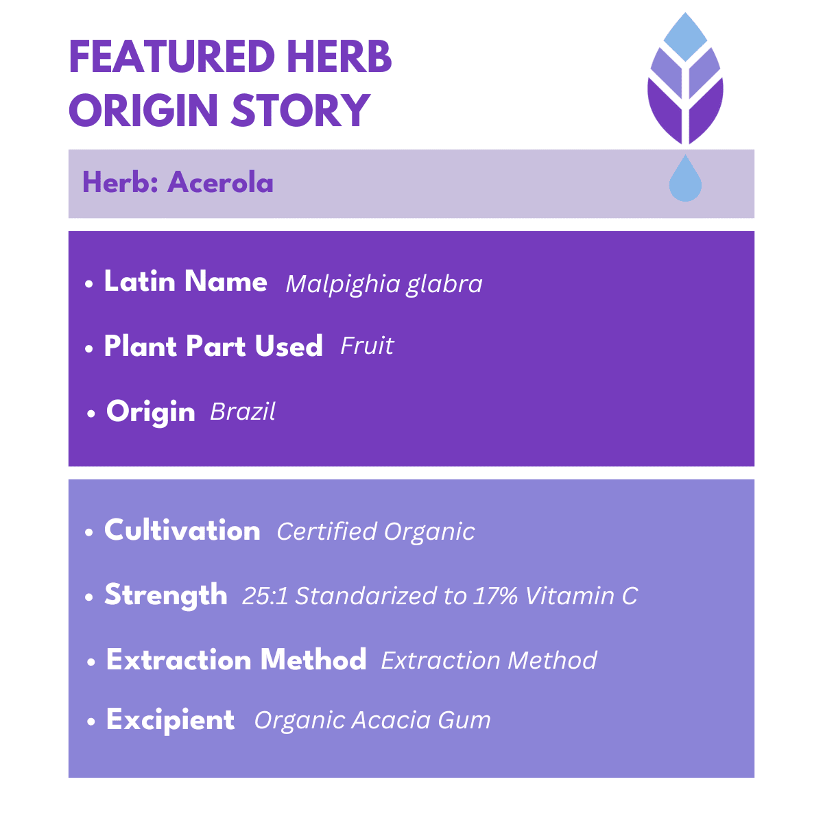 Acerola fruit facts with bold purple text at the top that reads Featured Herb Origin Story with bold botanica logo on the top right corner. 