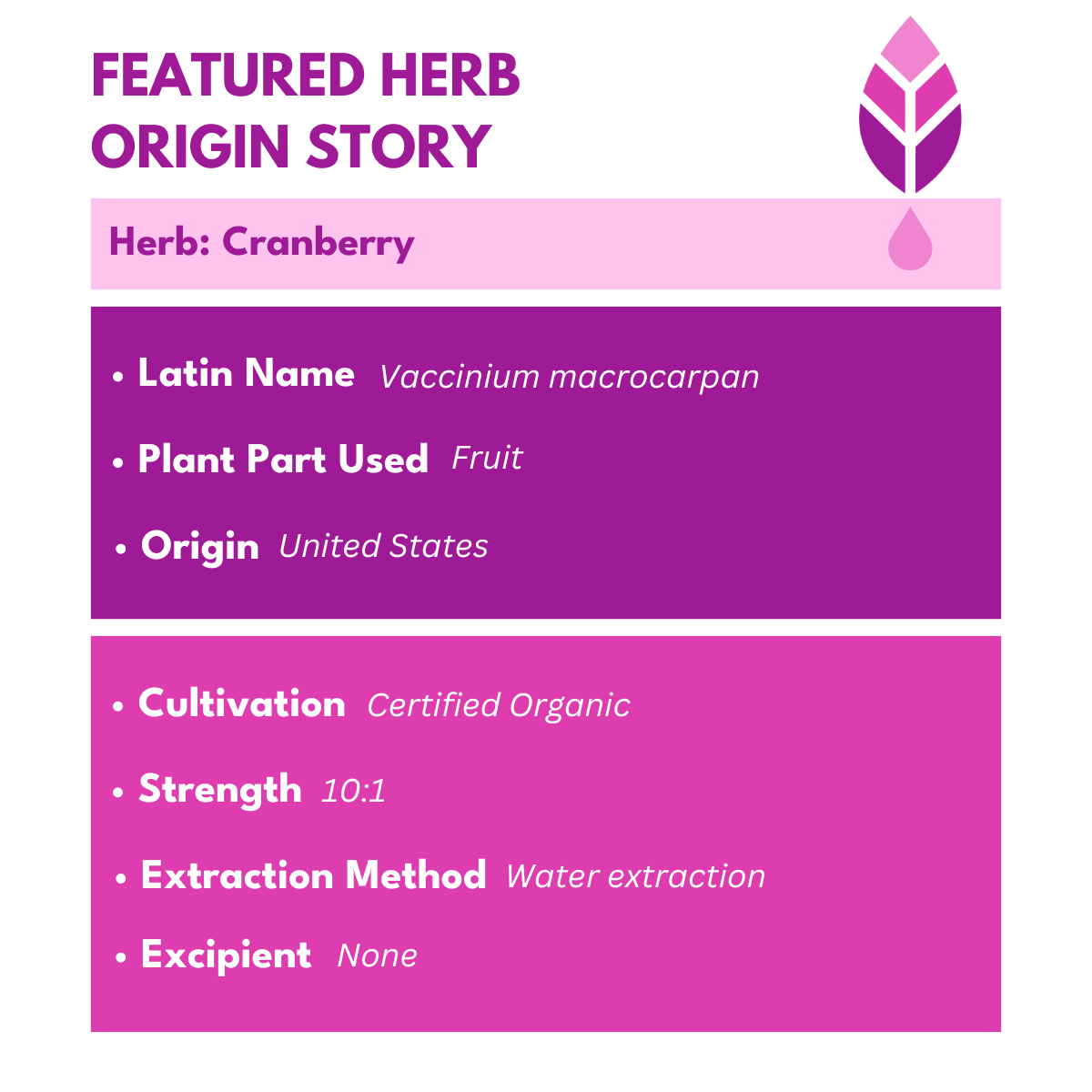 cranberry fruit extract facts with bold pink text that reads Featured Herb Origin Story Herb: Cranberry with bold botanica logo on top right corner in pink. 