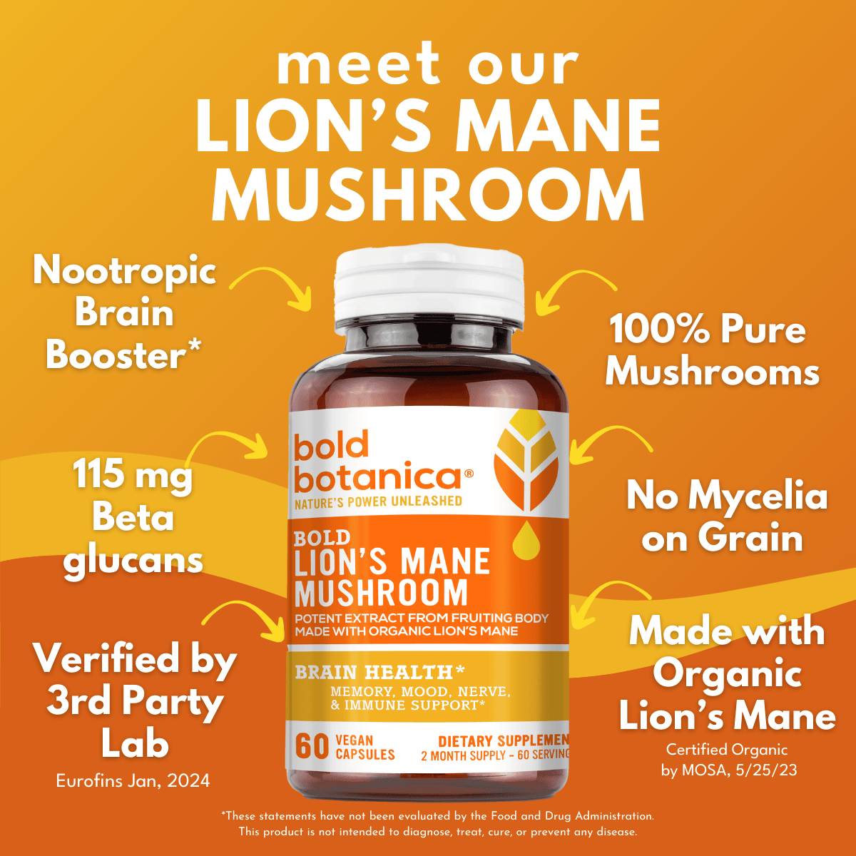 Bottle of Bold Botanica Bold Lion's Mane Mushroom against a orange background with bold white text that reads Meet our LIon's mane mushroom Nootropic Brain Booster, 115mg Beta Glucans, Verified by 3rd party lab, 100% pure Mushrooms, no Mycelia on grain, made with organic lion's mane. 