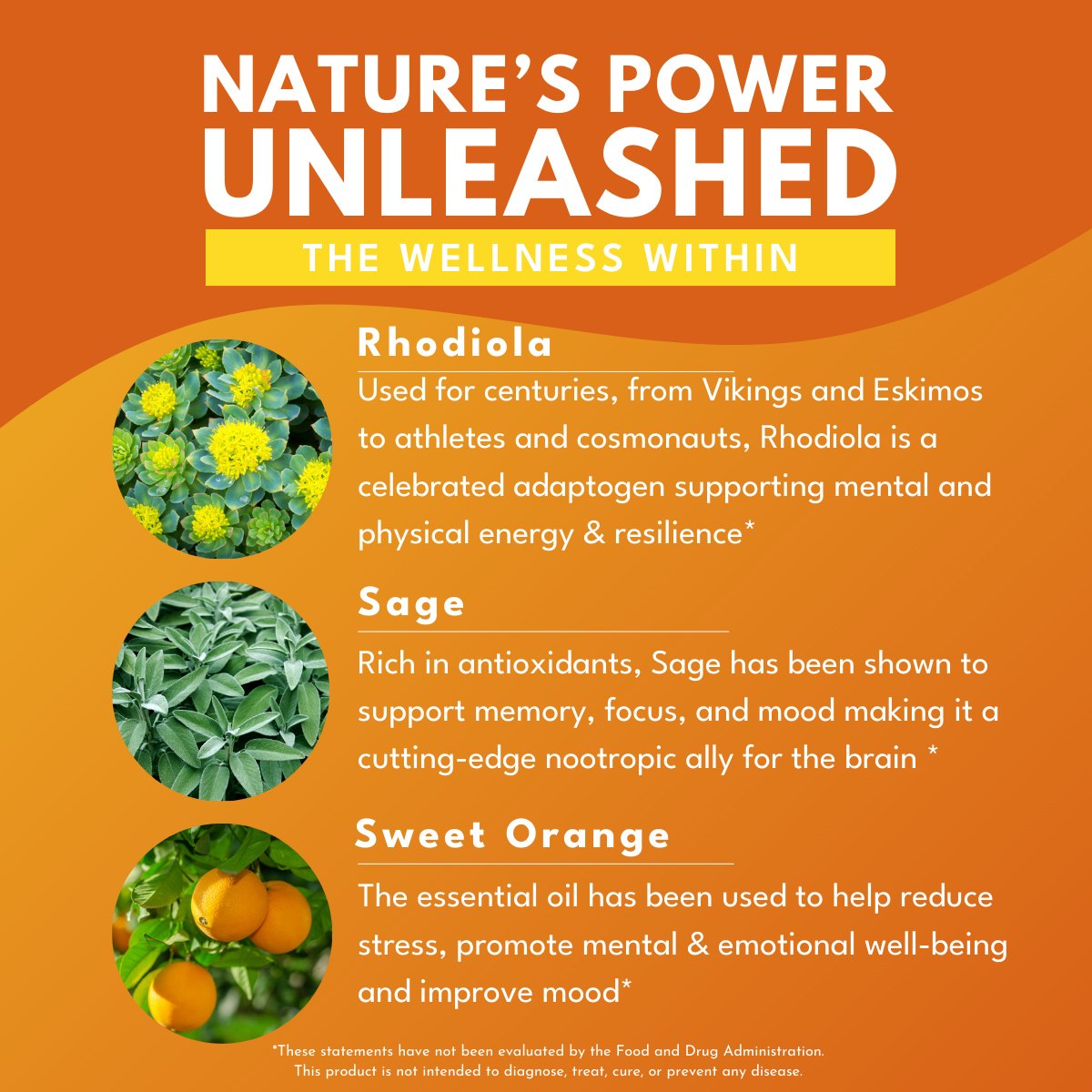 Promotional graphic about Rhodiola, Sage, and Sweet Orange with text on an orange background. Main concept of Nature's power unleashed, the wellness within.  