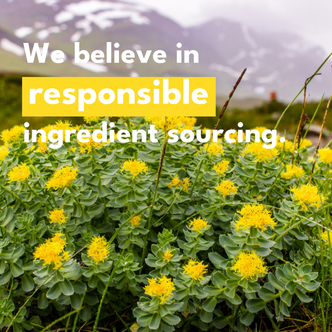 Bold Rhodiola Plus