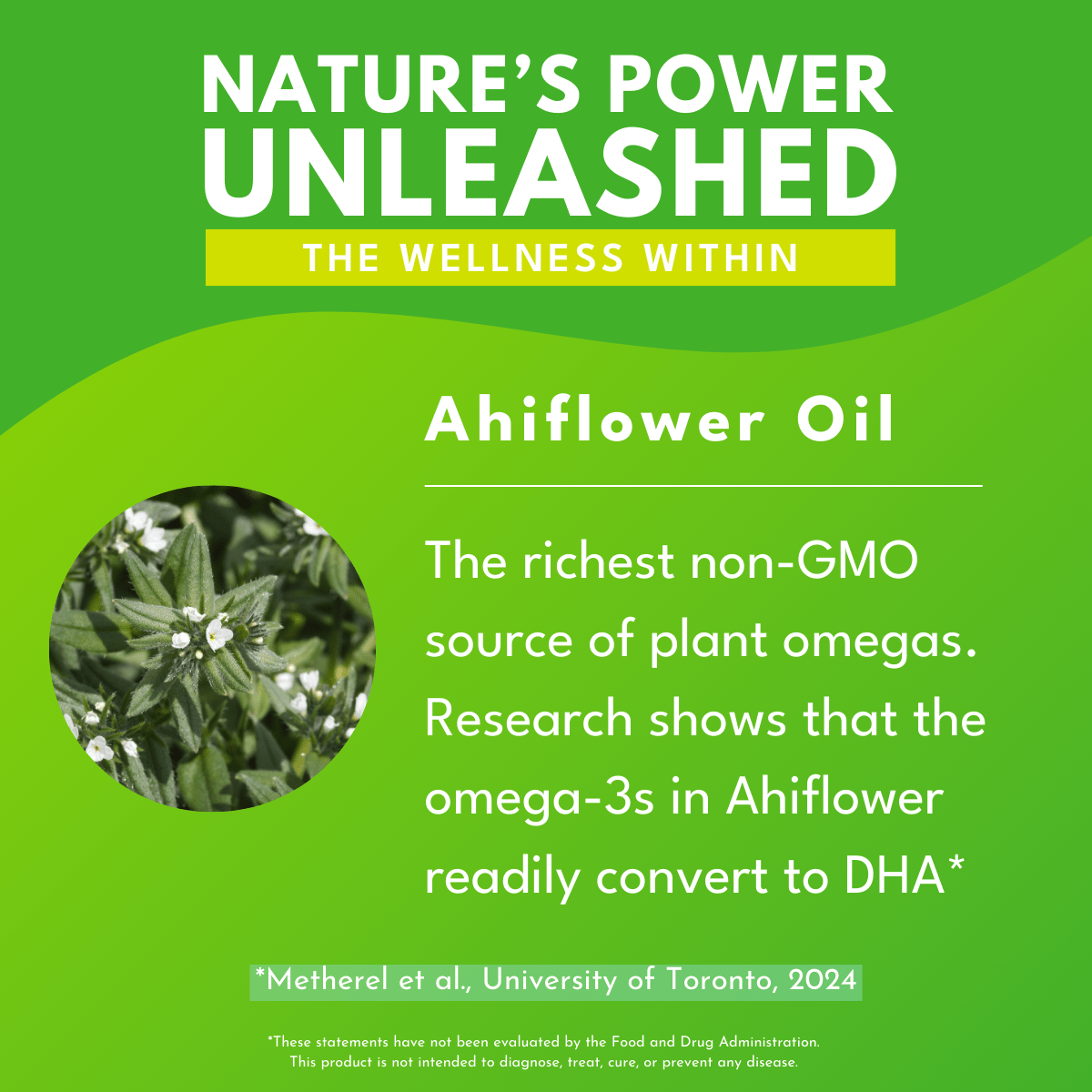 Ahiflower Oil informational graphic with bold white text against a bright green background that reads Nature's power unleashed the wellness within.  a circular photo of ahiflower on the left. 