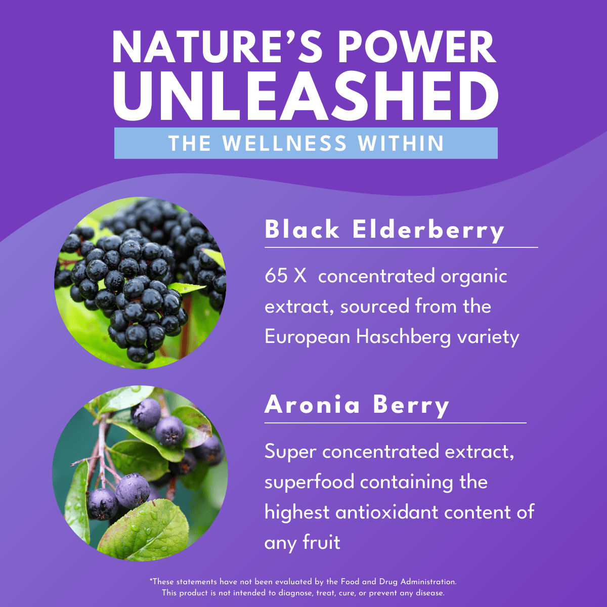 elderberry extract informational graphic on black elderberry and aronia berry with bold white font against a purple background that reads Nature's Power Unleashed the wellness within.  photos of elderberry and aronia berry on left side of graphic 