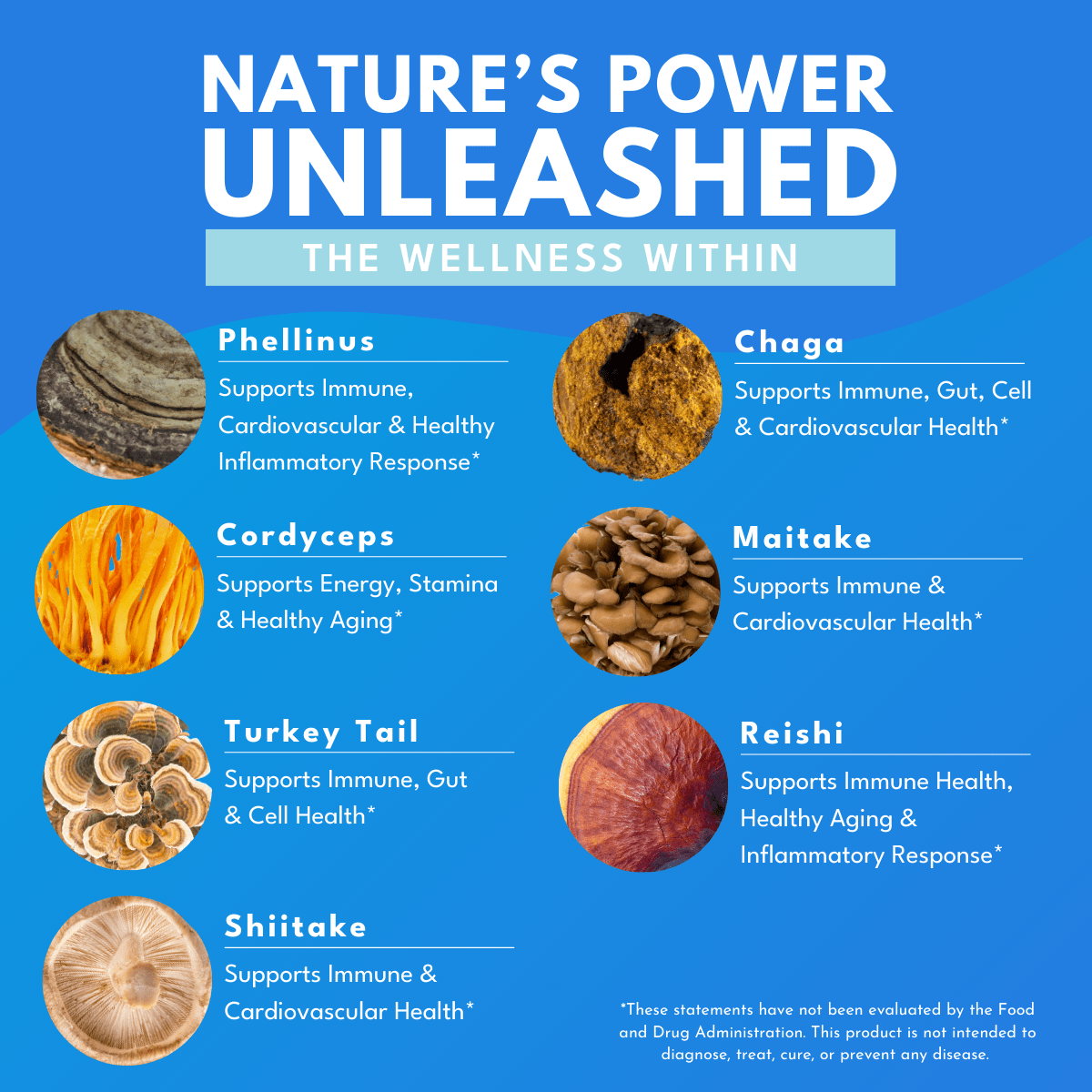 Poster of Mushroom 7 supplement capsules ingredients including chaga, miatake, reishi, phellinus, cordyceps, turkey tail, and shiitake all against a bright blue background with bold white text at the top that reads Nature's Power Unleashed the wellness within. 