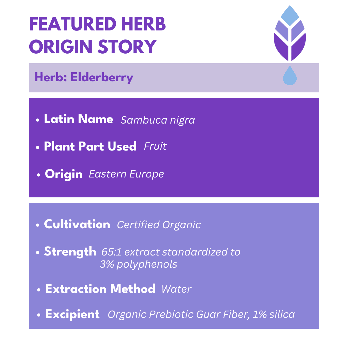 elderberry extract facts with bold purple text at the top that reads Featured Herb Origin Story with bold botanica logo on the top right corner. 