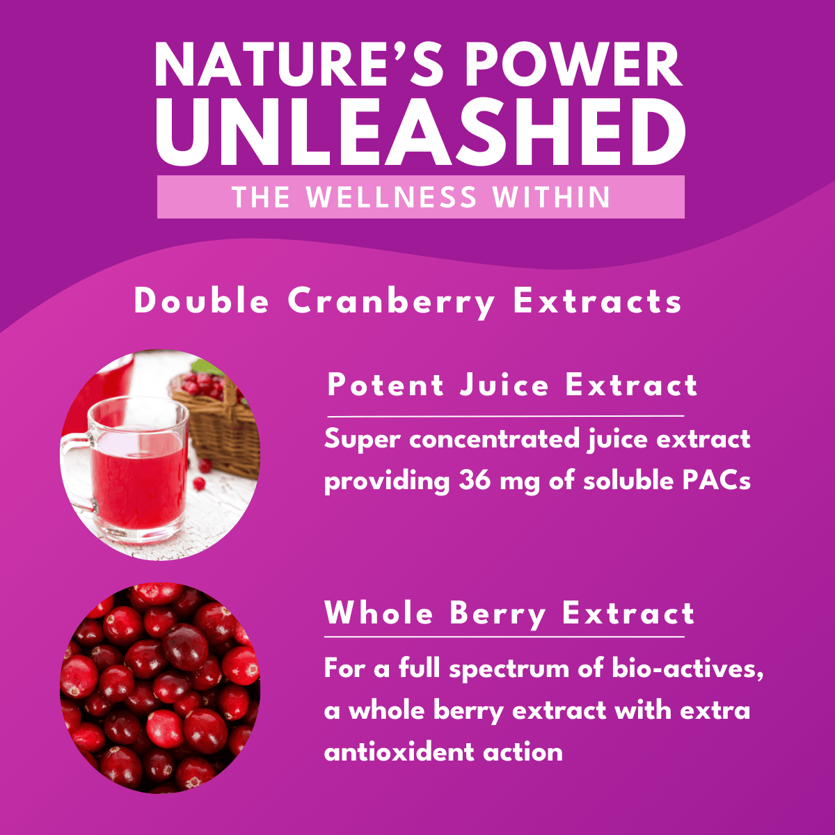 cranberry juice extract and cranberry fruit extract facts agains a hot pink background with bold white text at the top that reads Nature's power unleashed The wellness within.