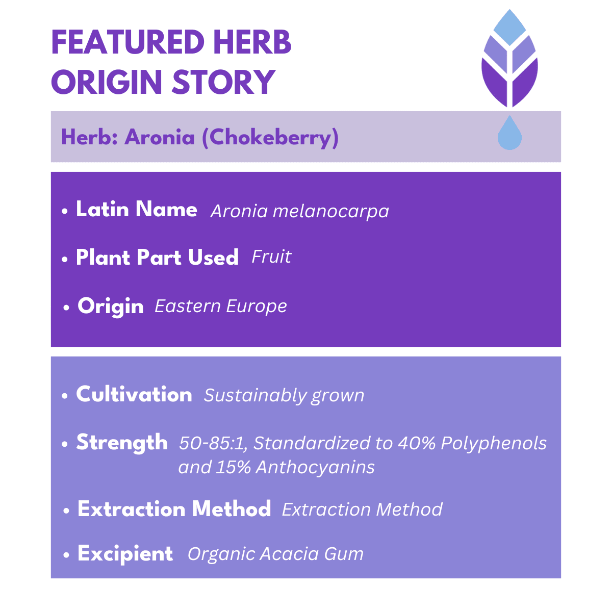 (chokeberry) aronia berry extract facts with bold purple text at the top that reads Featured Herb Origin Story with bold botanica logo on the top right corner. 