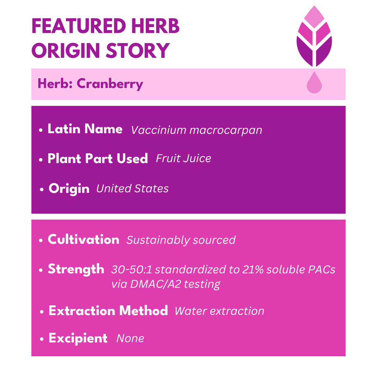 cranberry fruit extract facts with bold pink text that reads Featured Herb Origin Story Herb: Cranberry with bold botanica logo on top right corner in pink. 