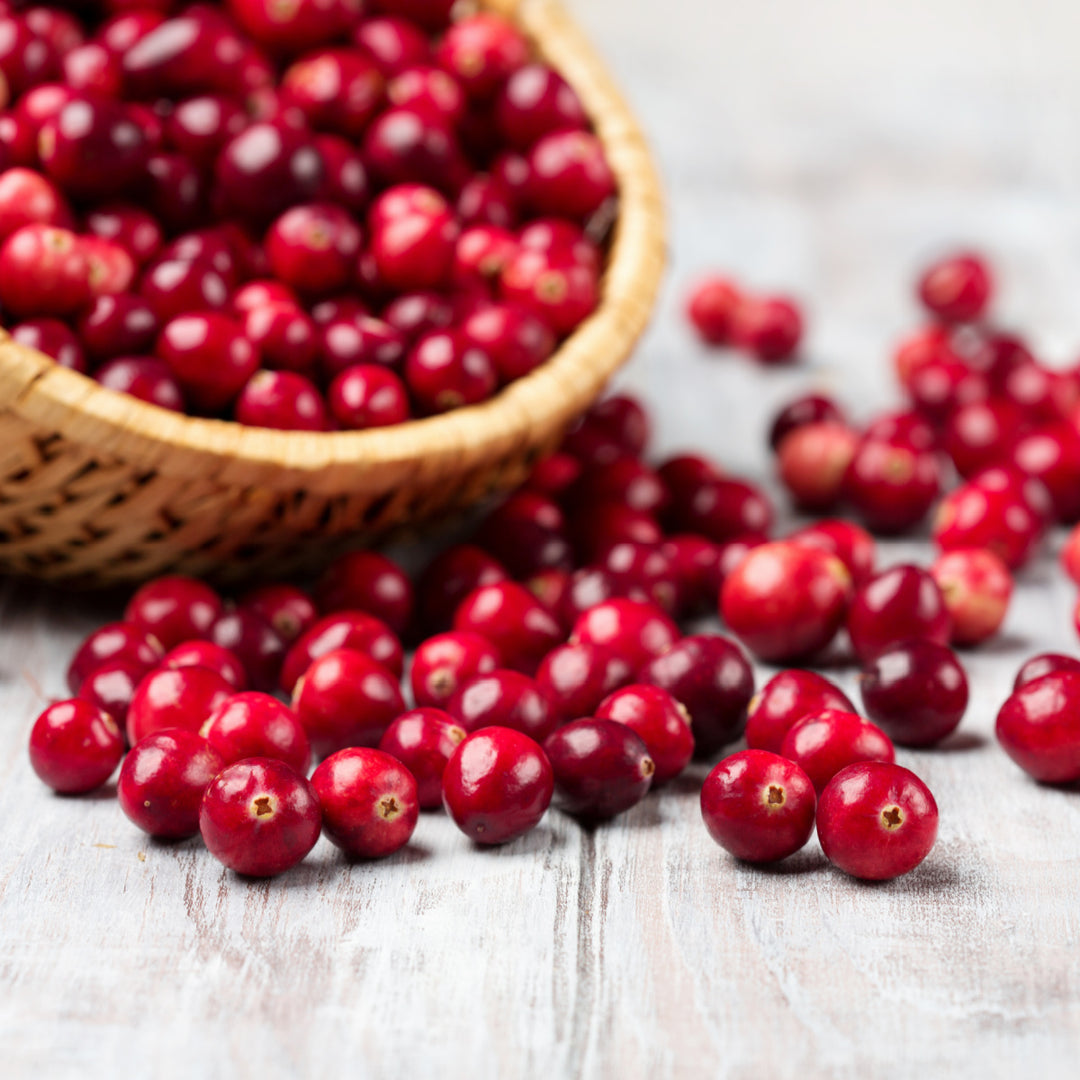 basket of cranberries, rich in PACs for urinary health