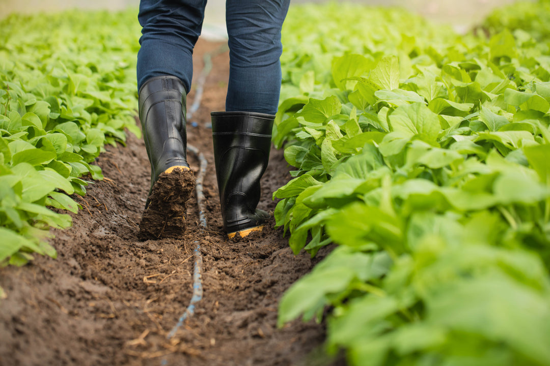 worker in boots walking through field