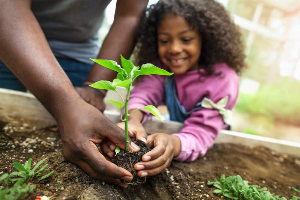 father and daughter planting a plant